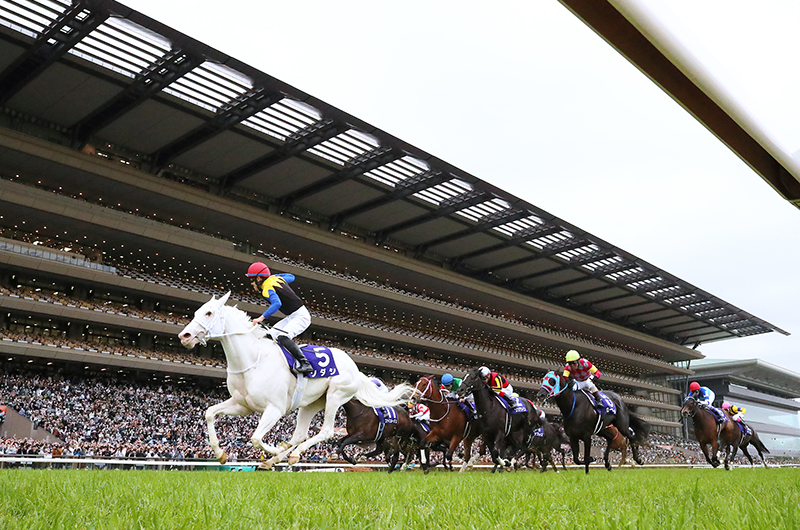 Tokyo Racecourse VIP Tour