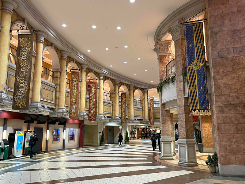 Tokyo Racecourse VIP Tour